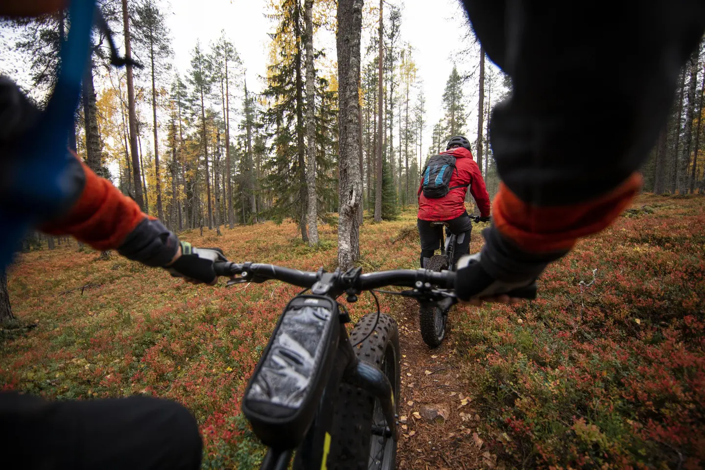 Bild: Harri Tarvainen I förgrunden syns en cyklists händer och cykelstyre. Längre fram cyklar en annan person längs leden genom höstfärgad skog.