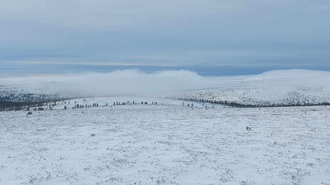 Urho Kekkosen Kansallispuisto - Luontoon.fi