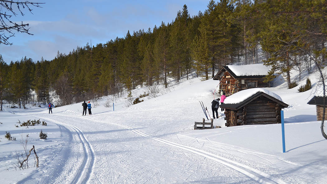 Urho Kekkosen Kansallispuisto - Luontoon.fi