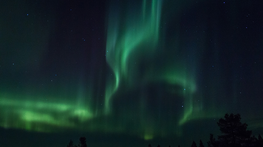 Aurorassa pohjoisen luontoa tarkkaillen 