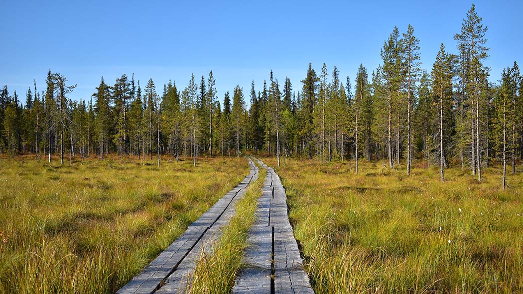 Urho Kekkosen kansallispuiston reittikuvaukset 