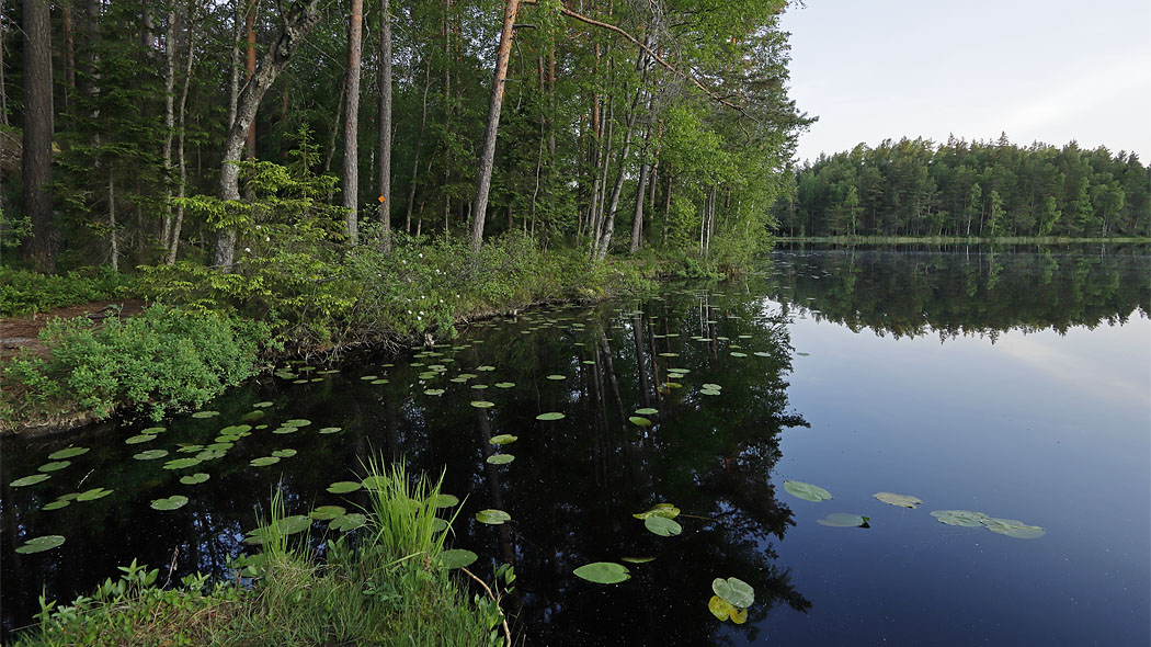 Storträsk-järven rantamaisemaa.
