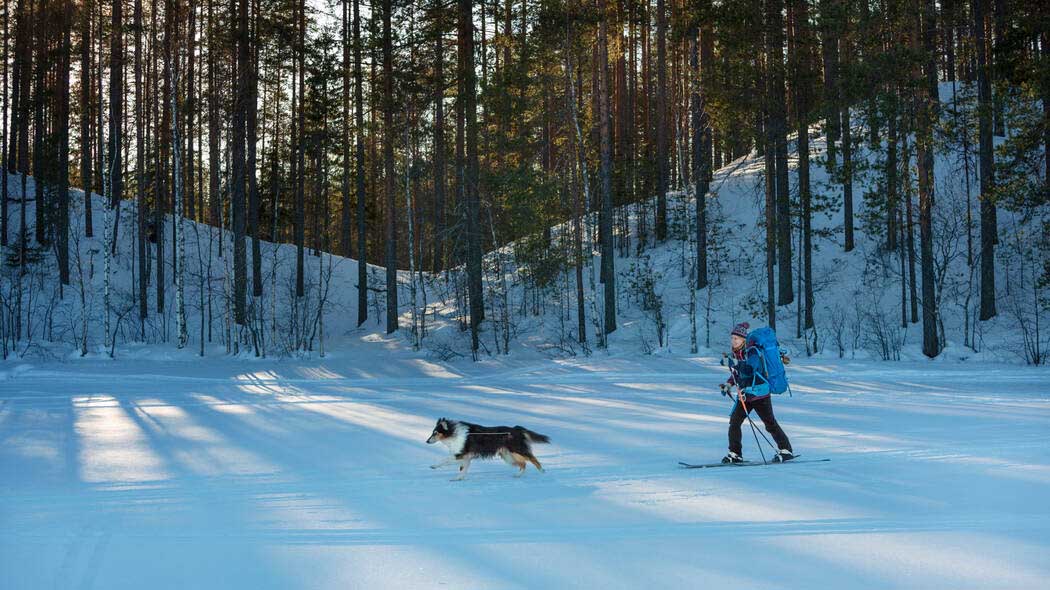 Petkeljärven kansallispuisto 