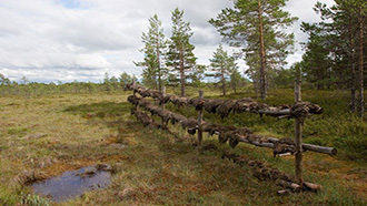 Puurijärven ja Isonsuon kansallispuisto 