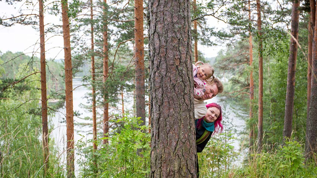 Saapuminen Punkaharjulle 